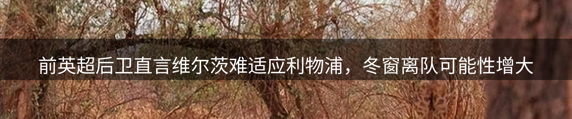 前沿资讯