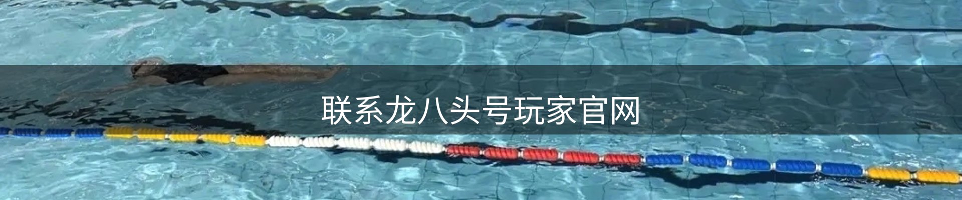 联系龙八头号玩家官网